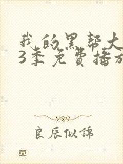 我的黑帮大佬第3季免费播放在线观看全集