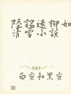 陆铭远柳如烟沈清雪小说