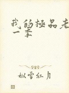 我的极品老婆第一季