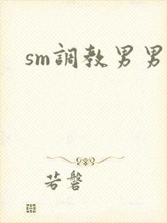 sm调教男男文封面