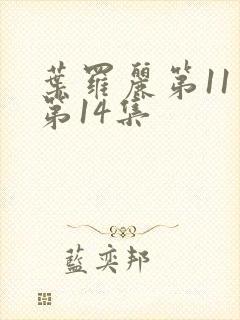 叶罗丽第11季第14集