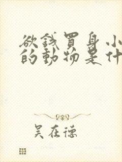 欲钱买身小脚小的动物是什么生肖
