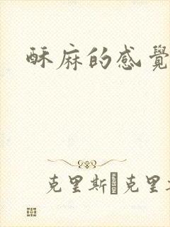 酥麻的感觉小说
