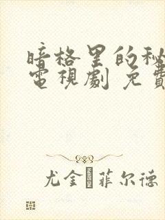 暗格里的秘密 电视剧 免费观看封面