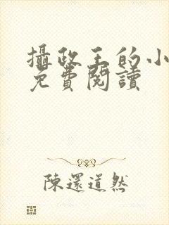 摄政王的小狂妃免费阅读封面