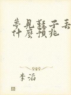 梦见鞋子丢了是什么预兆