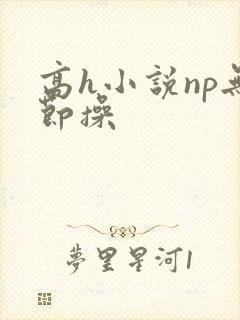 高h小说np无节操