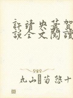 许靖央萧贺夜小说全文阅读最新章节