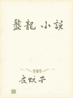 盘龙 小说封面