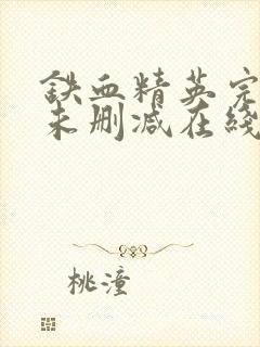 铁血精英完整版未删减在线免费观看