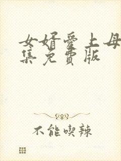 女婿爱上母娘全集免费版