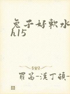 兔子好软水好多h15