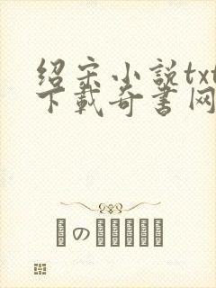 绍宋小说txt下载奇书网封面