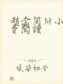 赵念周川小说免费阅读封面