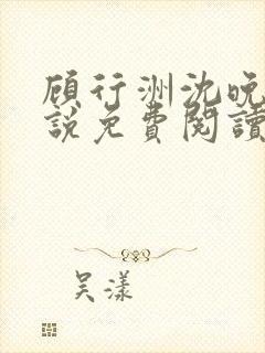 顾行洲沈晚宁小说免费阅读最新章节