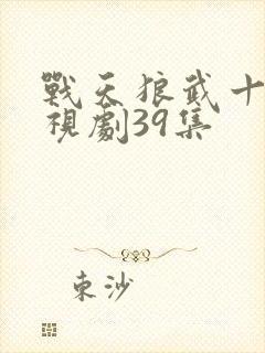 战天狼武十三电视剧39集