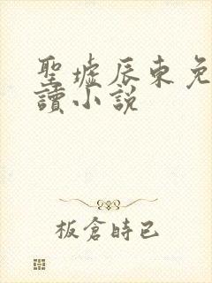 圣墟辰东免费阅读小说封面