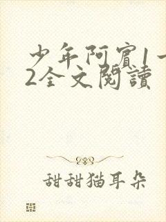 少年阿宾1一72全文阅读