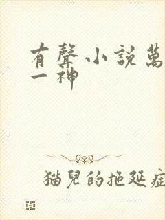 有声小说万古第一神封面