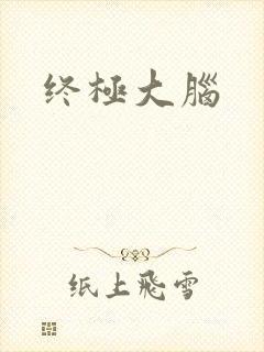 终极大脑封面