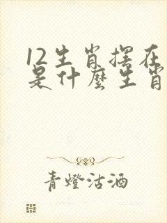 12生肖摆在前是什么生肖?封面