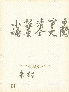 小说清穿皇妃要娇养全文阅读