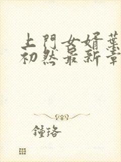 上门女婿叶辰萧初然最新章节免费阅读