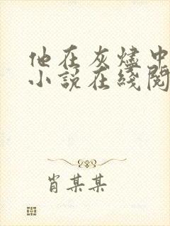 他在灰烬中告别小说在线阅读