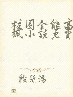 校园全能高手季枫小说免费阅读txt下载