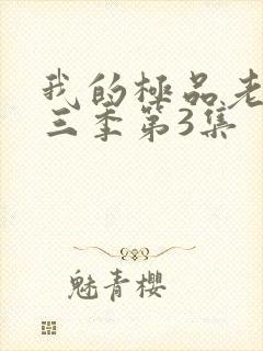 我的极品老婆第三季第3集