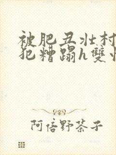 被肥丑壮村长侵犯糟蹋h双性