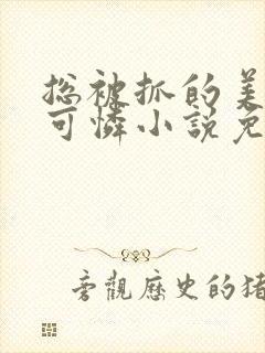 总被抓的美貌小可怜小说免费阅读