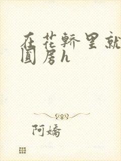 在花轿里就开始圆房h封面