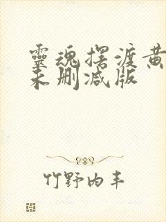 灵魂摆渡黄泉 未删减版