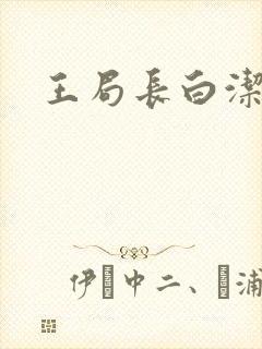 王局长白洁高义