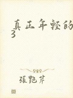 真正年轻的母亲3封面