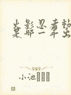 火影忍者动画片是哪一年出的