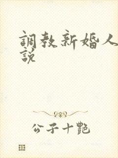 调教新婚人妻小说封面
