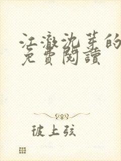 江澈沈芽的小说免费阅读