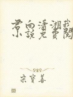 君向潇湘我向秦小说免费阅读