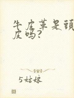 牛皮革是头层牛皮吗?