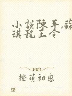 小说陈平,苏雨琪龙王令