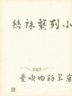 丝袜系列小说封面