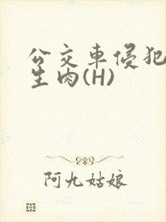 公交车侵犯小男生肉(H)