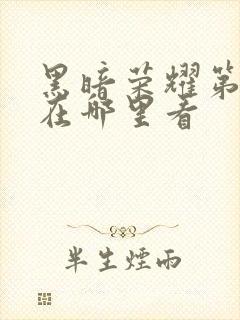 黑暗荣耀第一季在哪里看