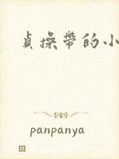 贞操带的小说封面