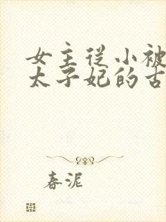 女主从小被定为太子妃的古言封面