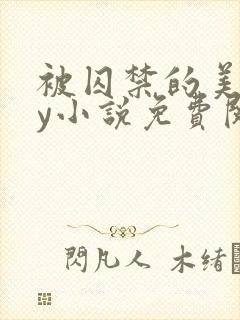 被囚禁的美人by小说免费阅读