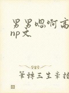男男嗯啊高h黄np文