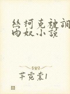 丝柯克被调教成肉奴小说